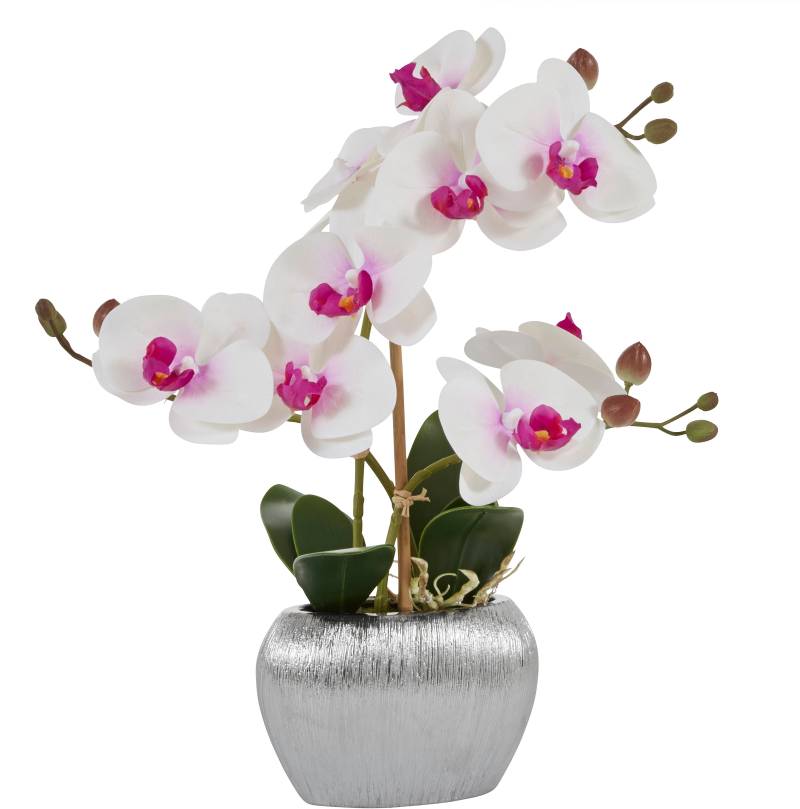 Home affaire Kunstpflanze "Orchidee" Kunstorchidee, im Topf von home affaire