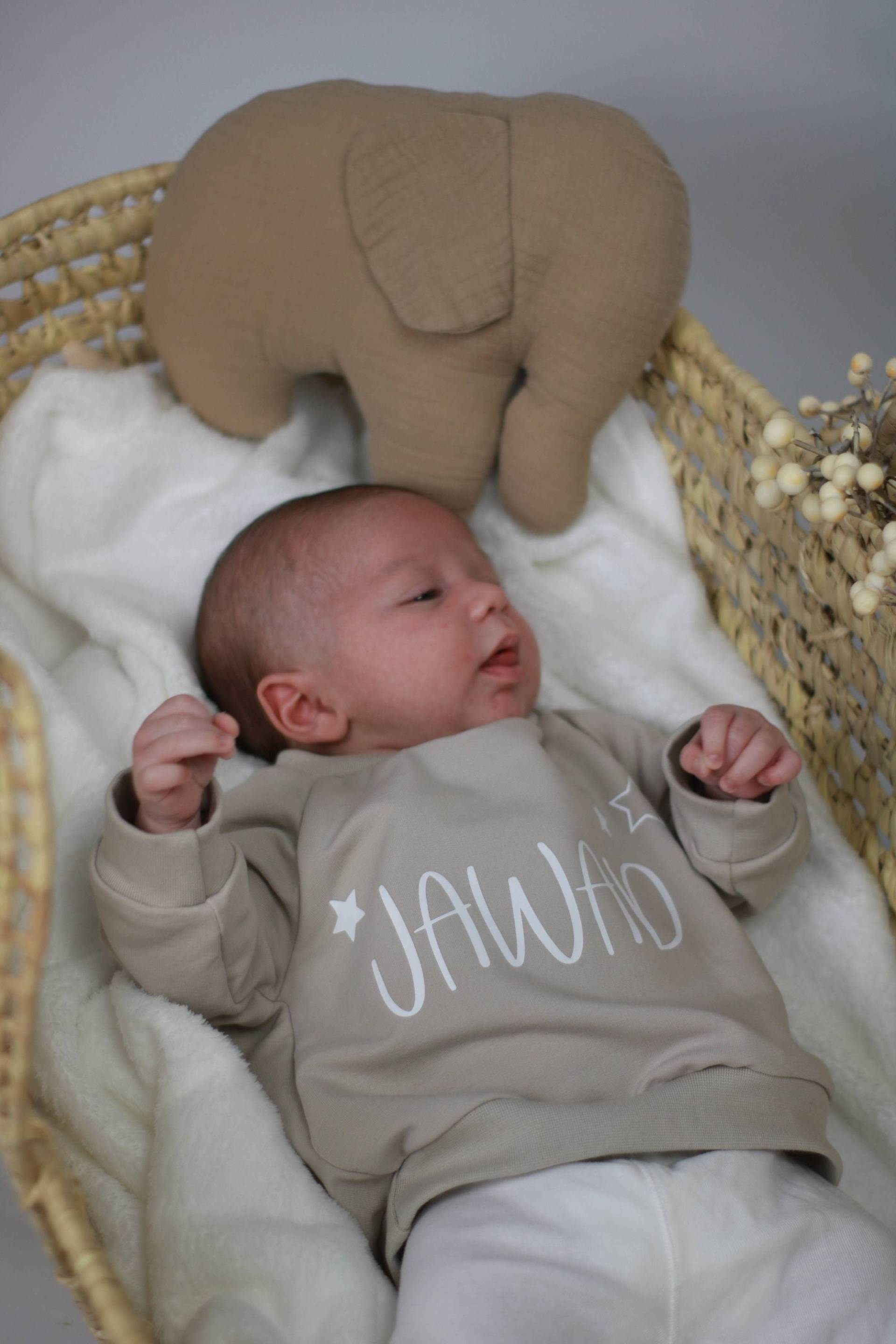 Personalisierbares Namens Sweatshirt Für Kinder Als Geschenk Zur Geburt Oder Geburtstag, Wähle Aus 6 Stoff& Schriftfarben Sowie Schriftarten Personalisierbares Namens Sweatshirt Für Kinder Als Geschenk Zur Geburt Oder Geburtstag, Wähle Aus 6 Stoff& Schriftfarben Sowie Schriftarten von homlebie