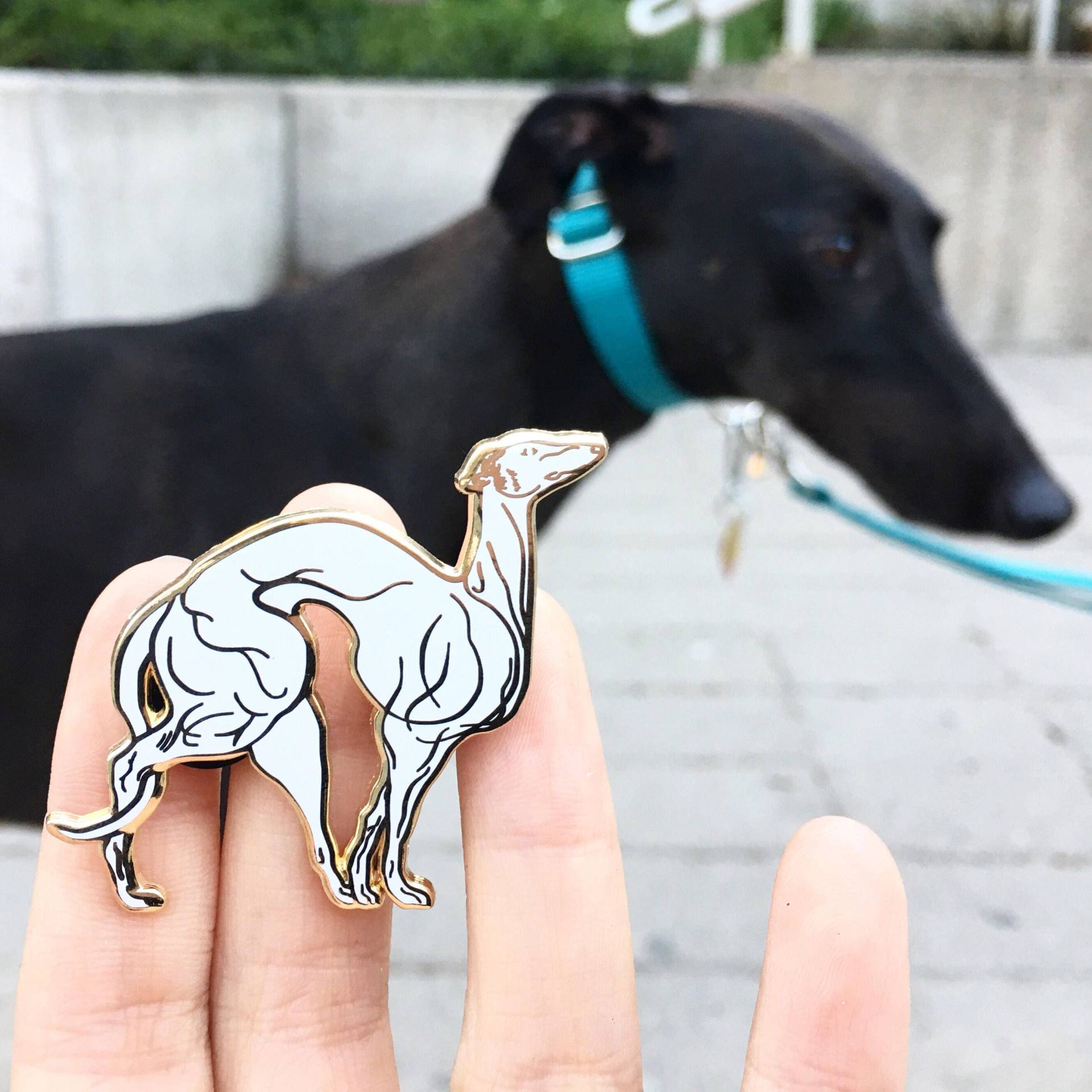 Weißer Windhund Pin-Greyhound-Hund Emaille Pin-Hund-Geschenk-Emaille Pin-Pinstagram-Dogoftgeday-Windhund Weißer Windhund Pin-Greyhound-Hund Emaille Pin-Hund-Geschenk-Emaille Pin-Pinstagram-Dogoftgeday-Windhund von horsefiddlepress