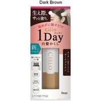 hoyu - Cielo 1 Day Cover Gray Hair Color Comb Dark Brown von hoyu