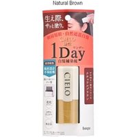 hoyu - Cielo 1 Day Cover Gray Hair Color Comb - Haarfärbemittel für graue Haare von hoyu