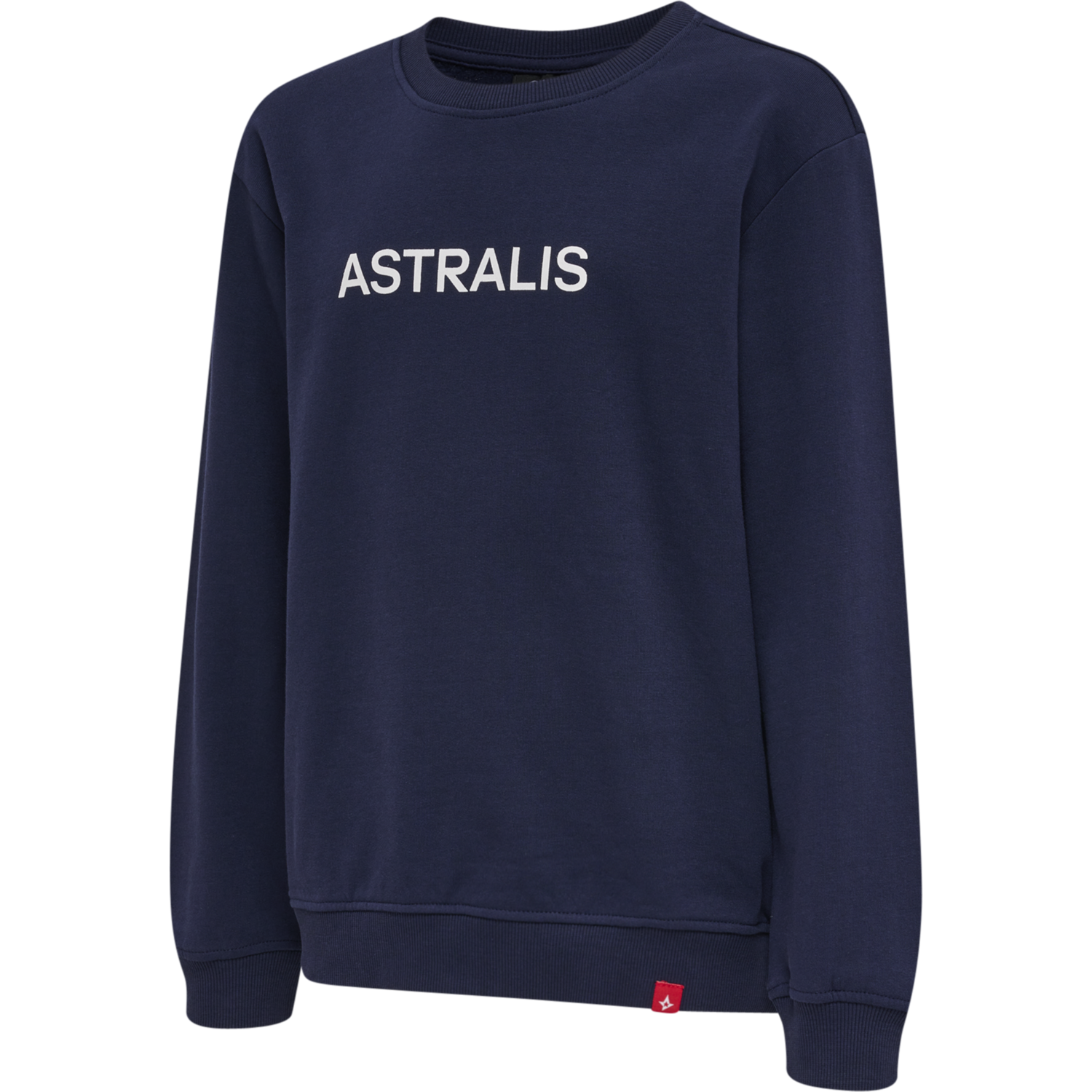 Astralis 21/22 Sweatshirt Kids von hummel