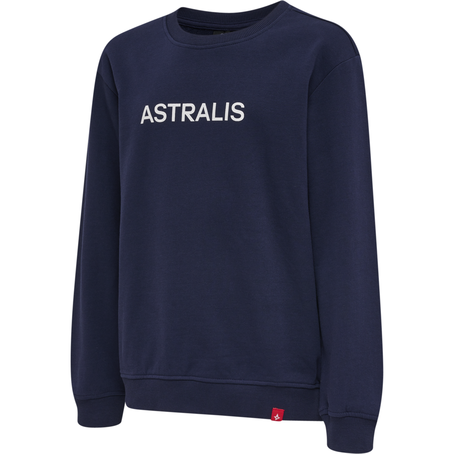 Astralis 21/22 Sweatshirt Kids von hummel