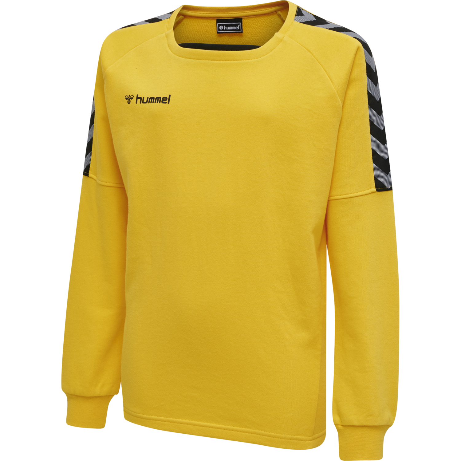 Hmlauthentic Kids Training Sweat von hummel