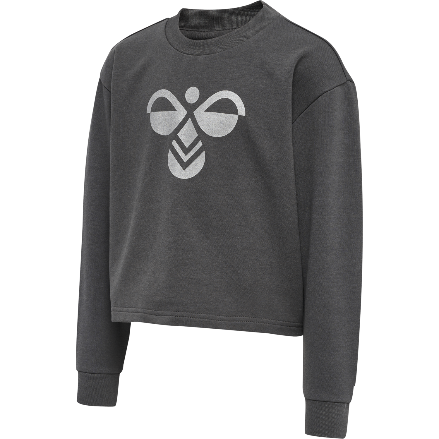 Hmlcinco Sweatshirt Hmlcinco Sweatshirt von hummel
