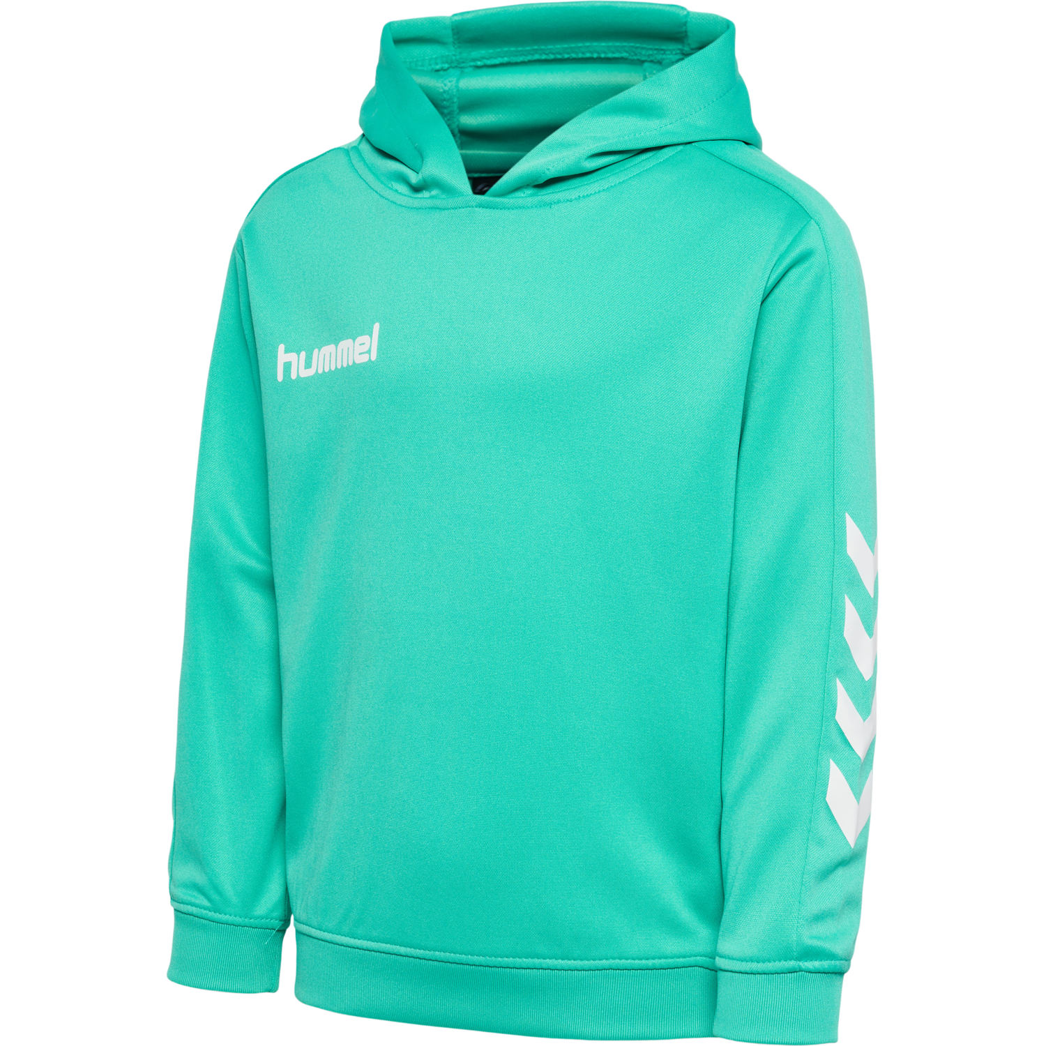 Hmlpromo Kids Poly Hoodie von hummel