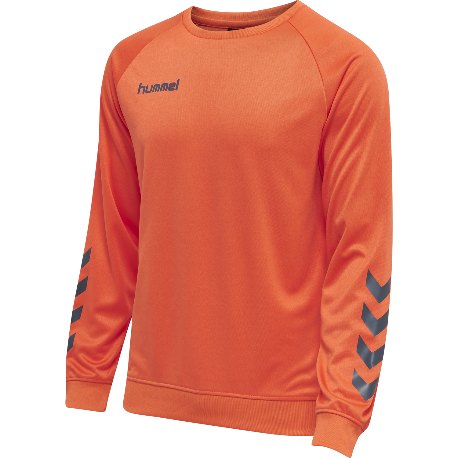 Hmlpromo Poly Sweatshirt von hummel