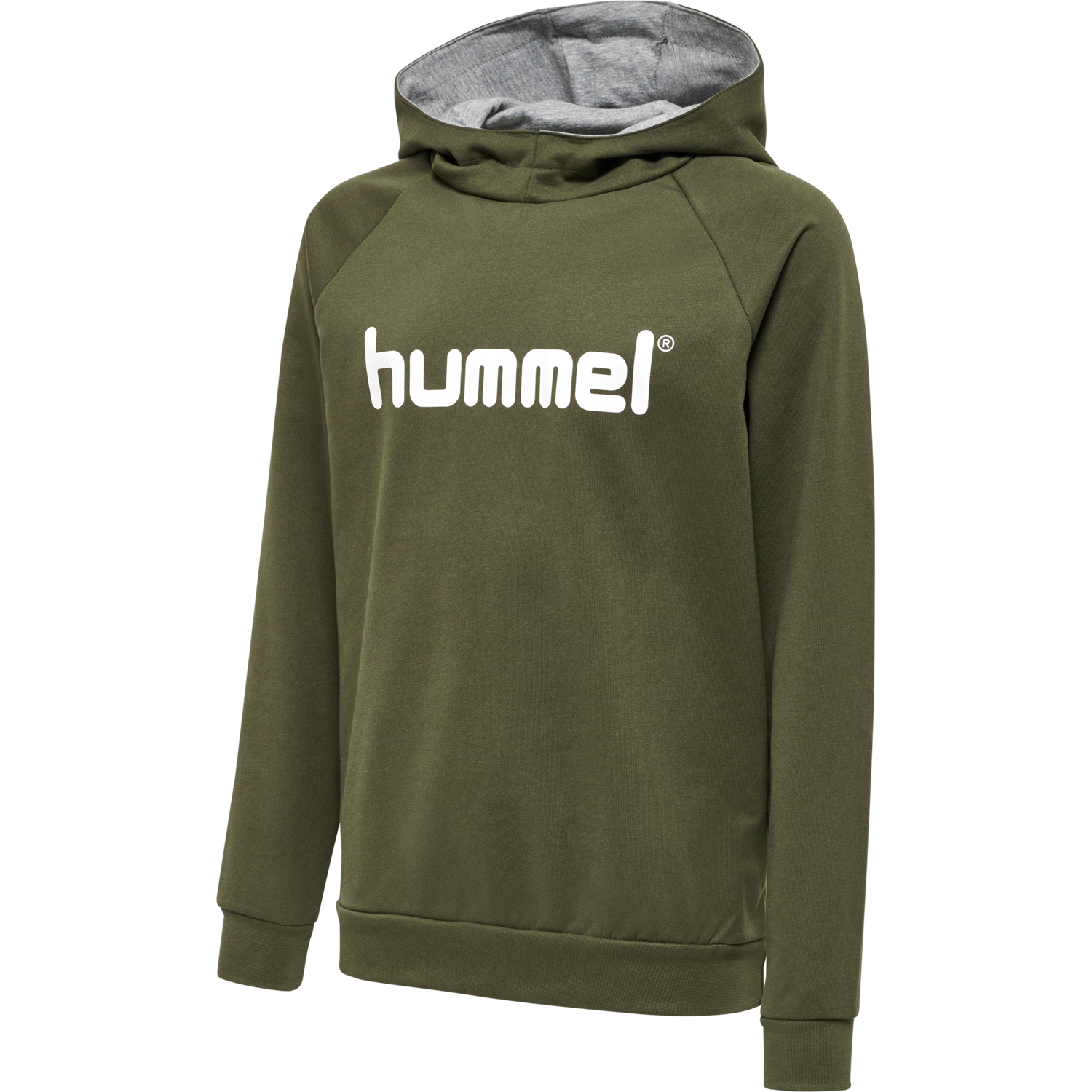 Hummel GO Kids Cotton Logo Hoodie von hummel