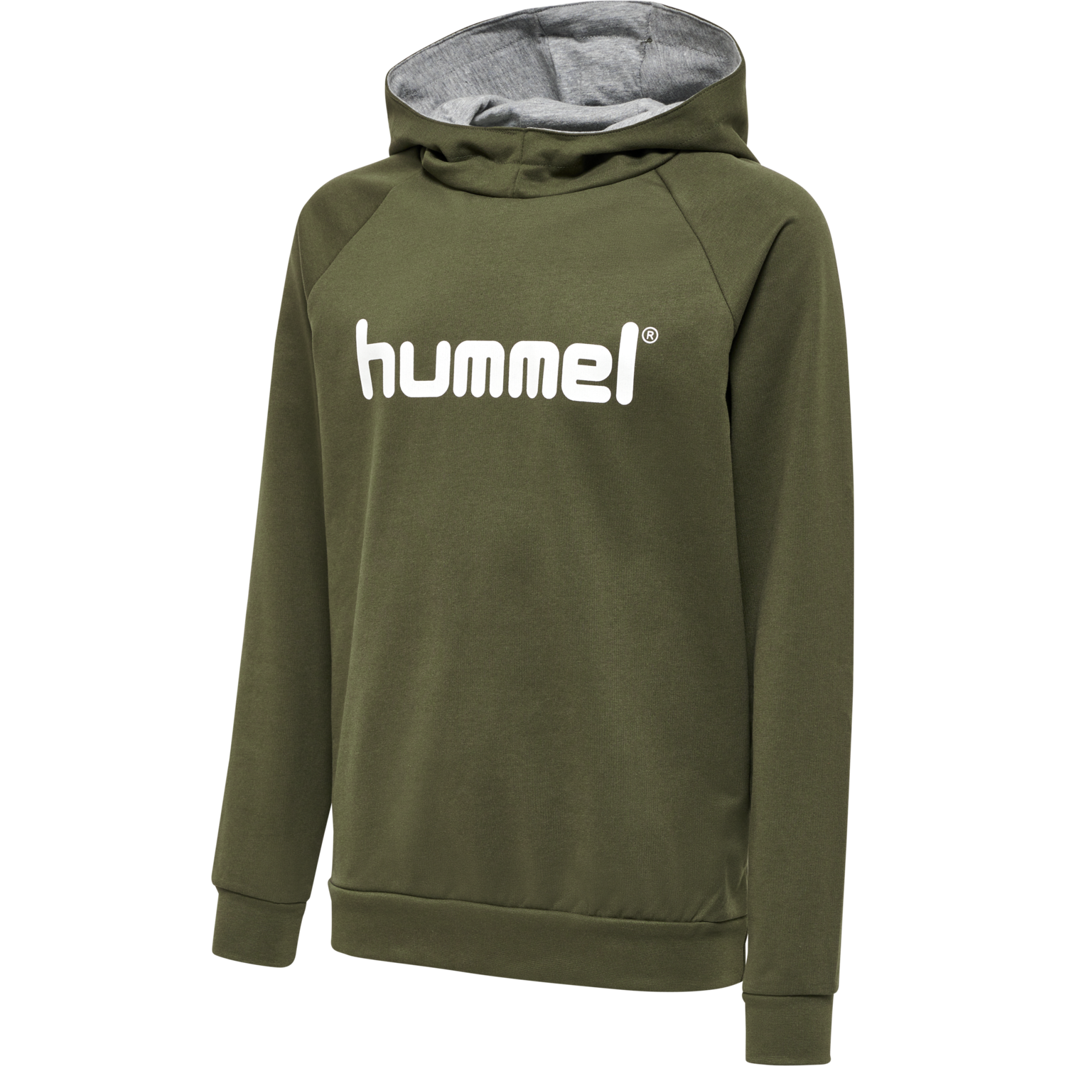Hummel GO Kids Cotton Logo Hoodie von hummel