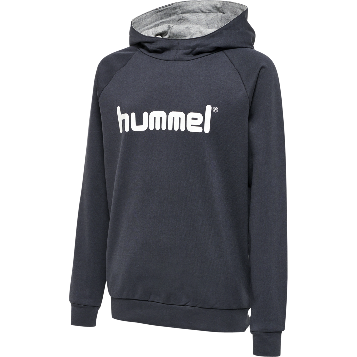 Hummel GO Kids Cotton Logo Hoodie von hummel