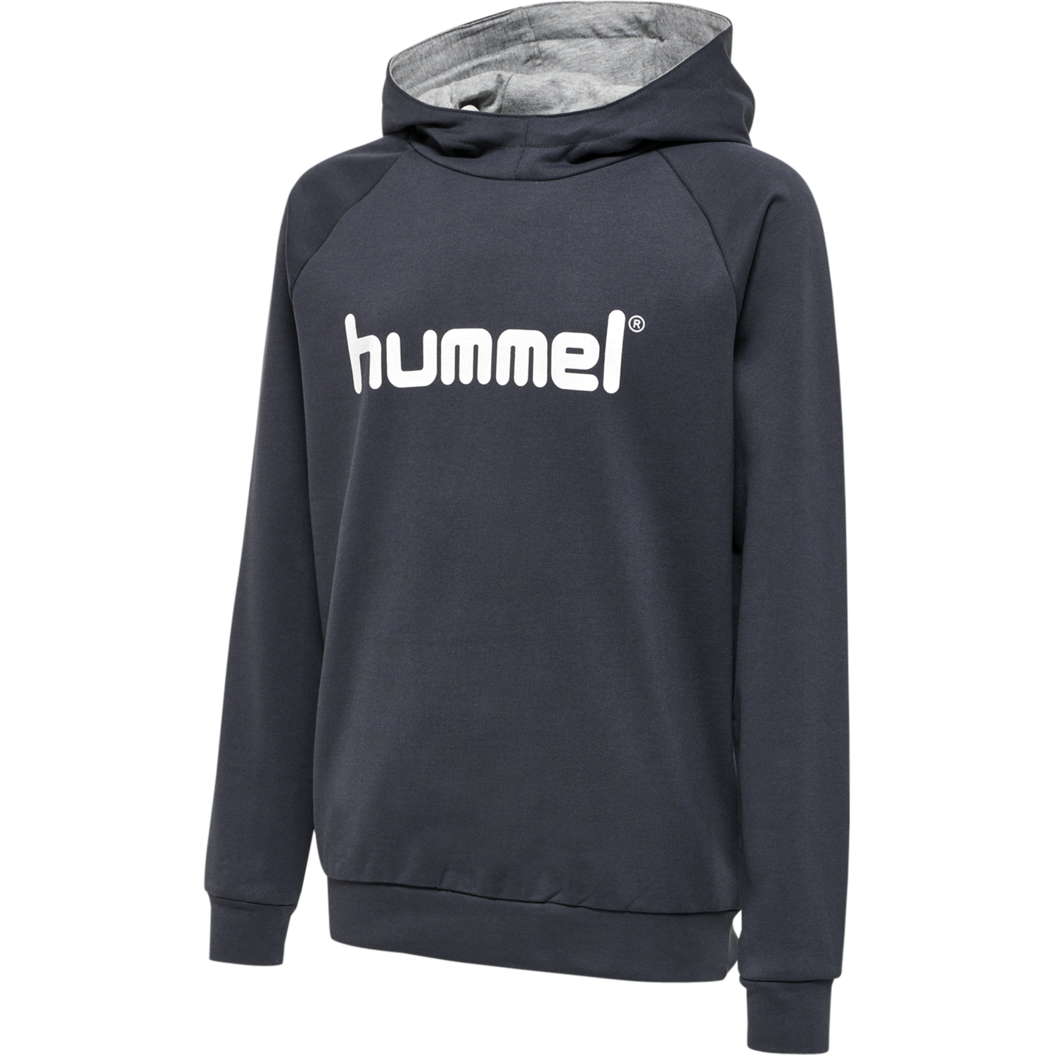 Hummel GO Kids Cotton Logo Hoodie von hummel