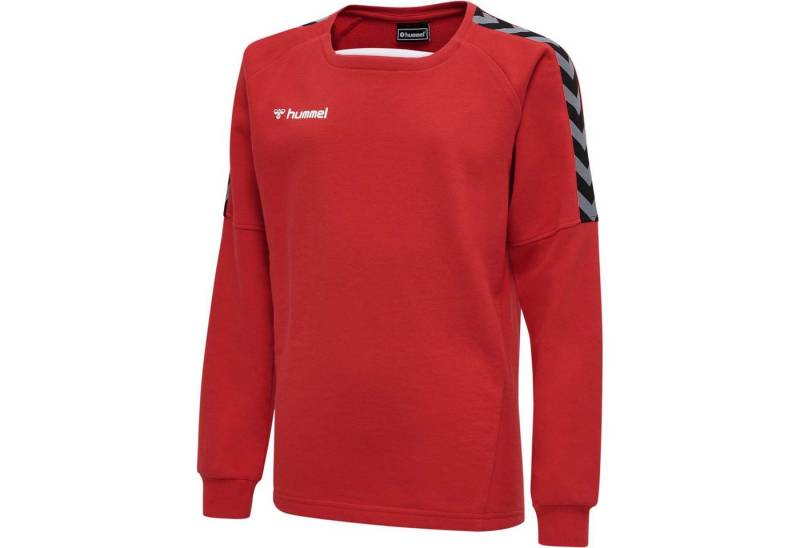 hummel Fleecepullover Hummel Kinder Sweatshirt Authentic Training Sweat 205374 von hummel