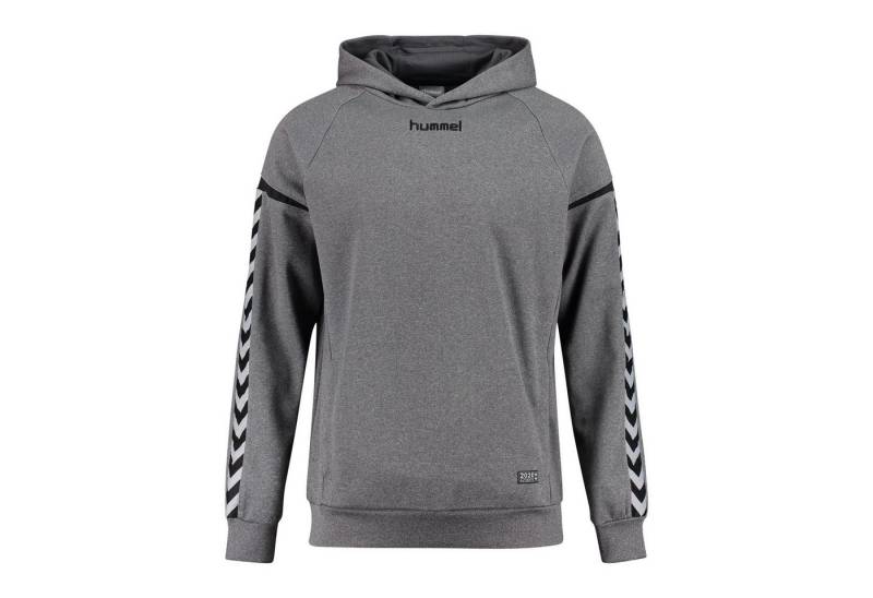 hummel Kapuzenpullover Hummel Herren Kapuzenpullover Authentic Charge Poly Hoodie 33403 von hummel