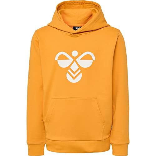 hummel Kinder hmlCUATRO Hoodie Sweatshirt mit Kapuze von hummel