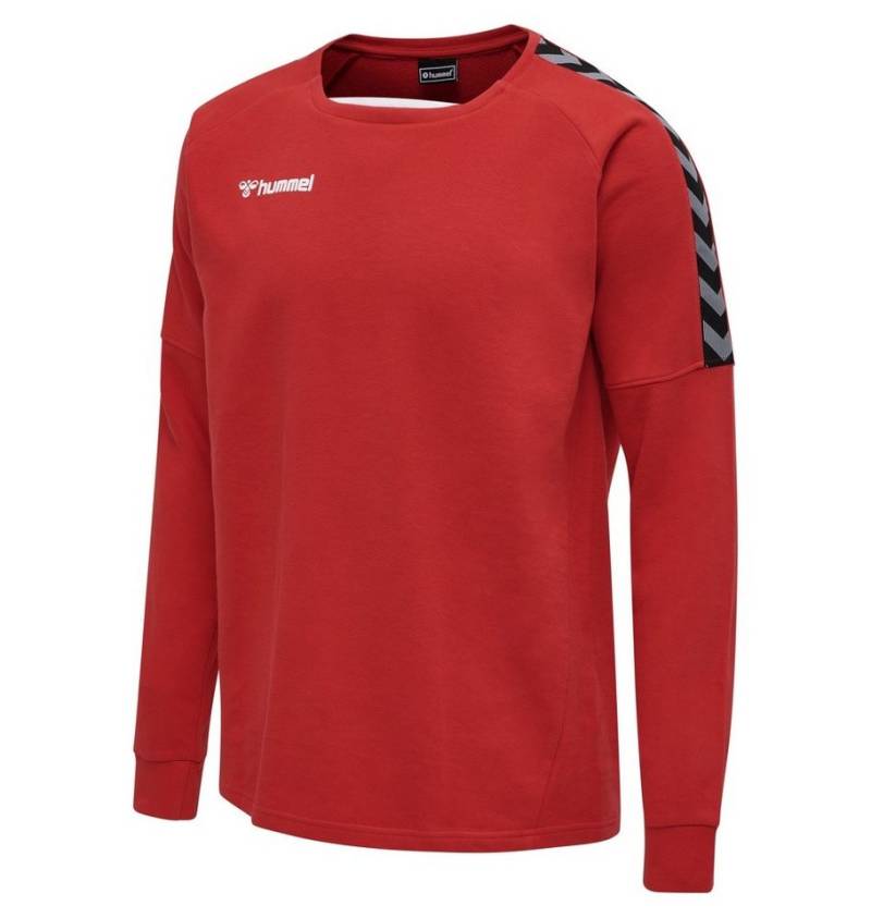 hummel Langarmshirt hmlAUTHENTIC Training Sweat (Baumwoll/Polyester-Gemisch) rot Herren von hummel