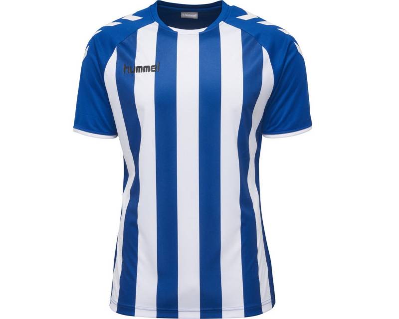 hummel Fußballtrikot Trikot Core Striped SS Jersey Kinder von hummel