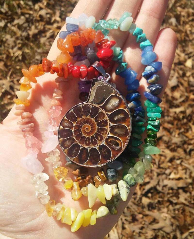 Halskette Mit Anhänger Aus Ammonit Und Bergkristallsplittern von iLLstyles