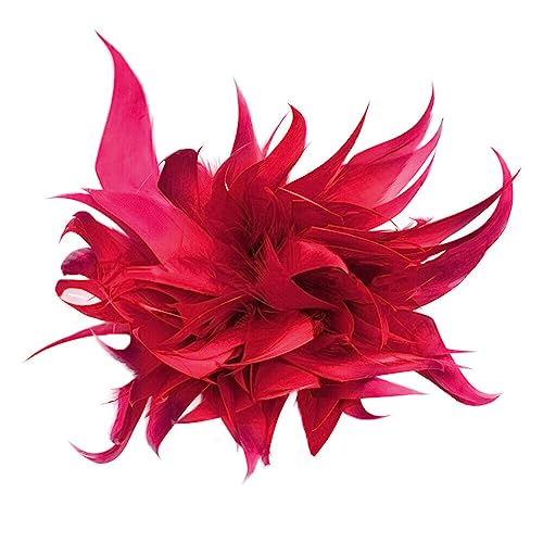 Federbrosche Haarklammer Corsage, iSpchen Haarschmuck Mädchen Damen Brusttaschenbrosche, Party Corsage Kopfschmuck Kleidung Performance Requisiten,Weinrot von iSpchen