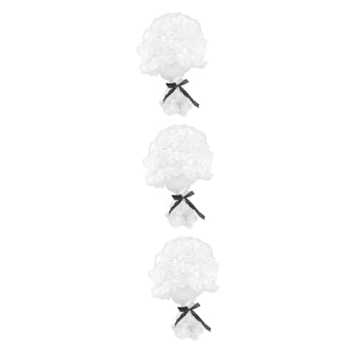 ibasenice 3stücke Cosplay Perücke Für Herren Wiederverwendbare Richteranwalt Perücke Für Kostümpartys Elegante Lange Weiße Herrenperücke Für Halloween Und Theateraufführungen von ibasenice