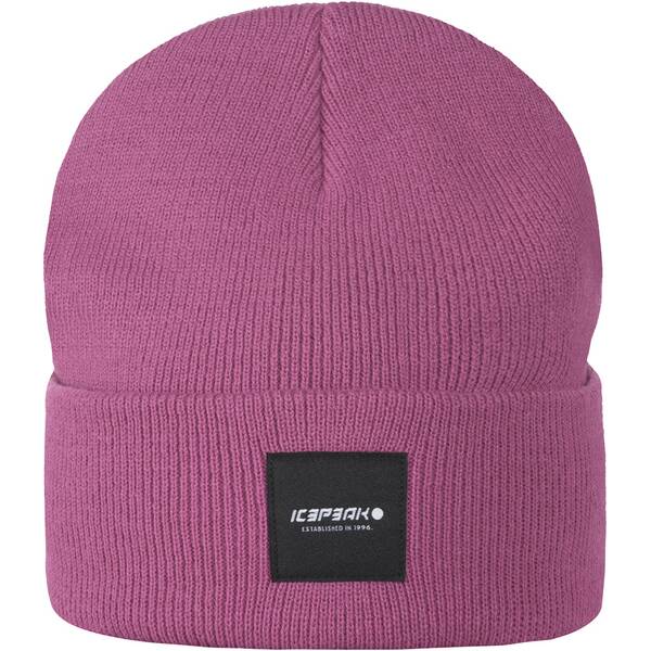 ICEPEAK Herren Mütze HARCOURT von icepeak