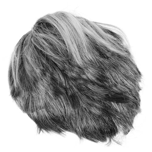 ifundom Halloween-Opa-Perücken – Perücke für erwachsene Angestellte für den täglichen Gebrauch, Halloween, Karneval, Party, Bühnenauftritte, Hellgrau von ifundom