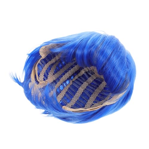 ifundom Kids Blaue Perücke Kurz Mit Synthetisches Haar Für Cosplay Halloween Und Kostümpartys Für Junge Mädchen Jungen Und Mädchen von ifundom