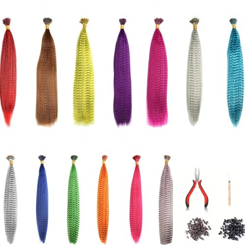 65 Stück Bunte Haarverlängerungs Set, Kunst haare Extensions Haarsträhnen Kinder, Haarschmuck Bunte Haarsträhnen Kinder, Haarschmuck Haarteil Zange Häkchen mit 200 Perlen Ponytail Braids Clip von iguTrail