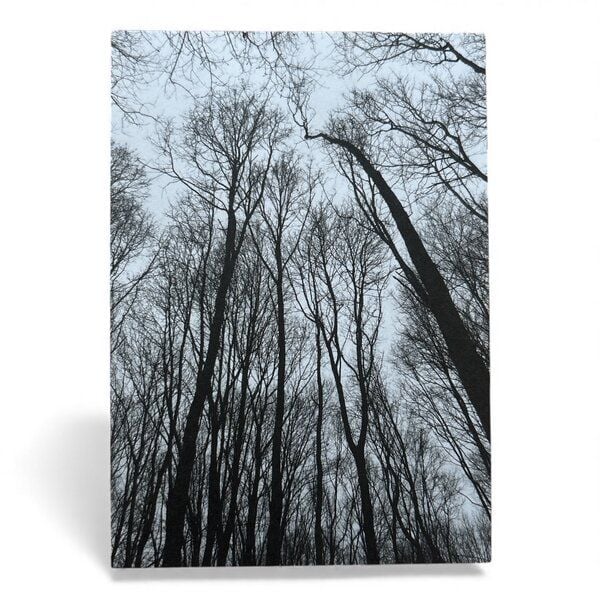 ilovemixtapes A6 Postkarte „Forest“ – Minimalistisches Waldmotiv auf PEFC-zertifiziertem Offsetpapier von ilovemixtapes