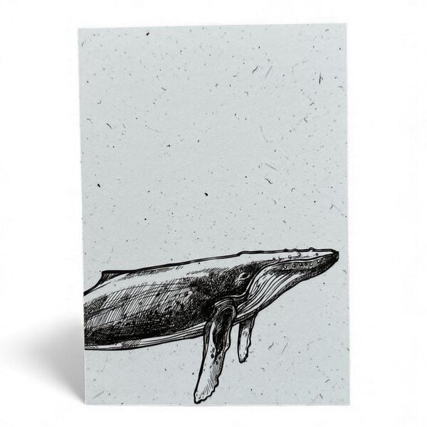 ilovemixtapes Postkarte „Whale“ – Minimalistisches Walmotiv in Schwarz-Weiß für Meer- & Designliebhaber von ilovemixtapes