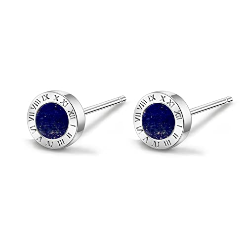 Immobird Ohrstecker 925 Sterling Silber Ohrringe Damen Lapislazuli-Ohrringe Unisex Weihnachtsgeschenke Geschenke Für Männer Und Frauen von immobird