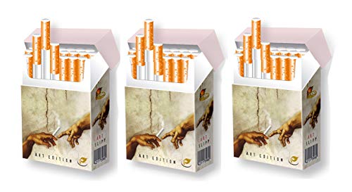 3 STÜCK indo slipp Zigarettenschachtelcover für XL-Zigarettenpackungen | Größe: Bigpack Normal-Size | Motiv: 013 Michelangelo von indo slipp