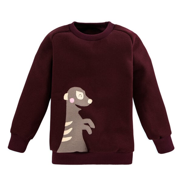 internaht Sweatshirt für Kinder von internaht