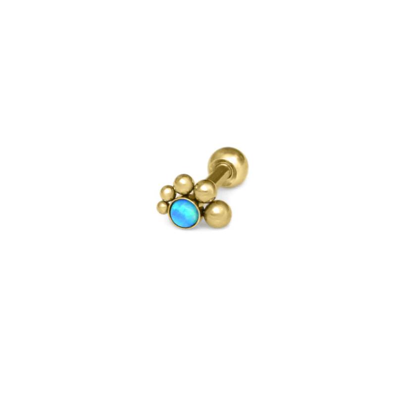 Chirurgenstahl-Knorpel-Ohrstecker/Helix-Ohrring, Tragus-Ohrstecker, Knorpel-Piercing Conch Barbell, Vorwärts-Helix-Ohrstecker, Tragus-Ohrring Chirurgenstahl-Knorpel-Ohrstecker/Helix-Ohrring, Tragus-Ohrstecker, Knorpel-Piercing Conch Barbell, Vorwärts-Helix-Ohrstecker, Tragus-Ohrring von iroocca
