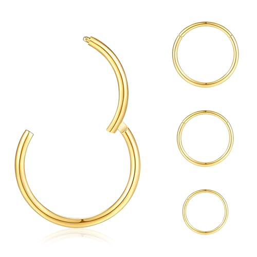 jagosen Nasenpiercing Ring Gold 4stk 18g Nasenring Nostril Septum Piercing Rings Set Chirurgenstahl Dünn Lippenpiercing Septum Clicker Knorpel Piercing Ohr Für Damen Männer 6mm/8mm/10mm/12mm von jagosen