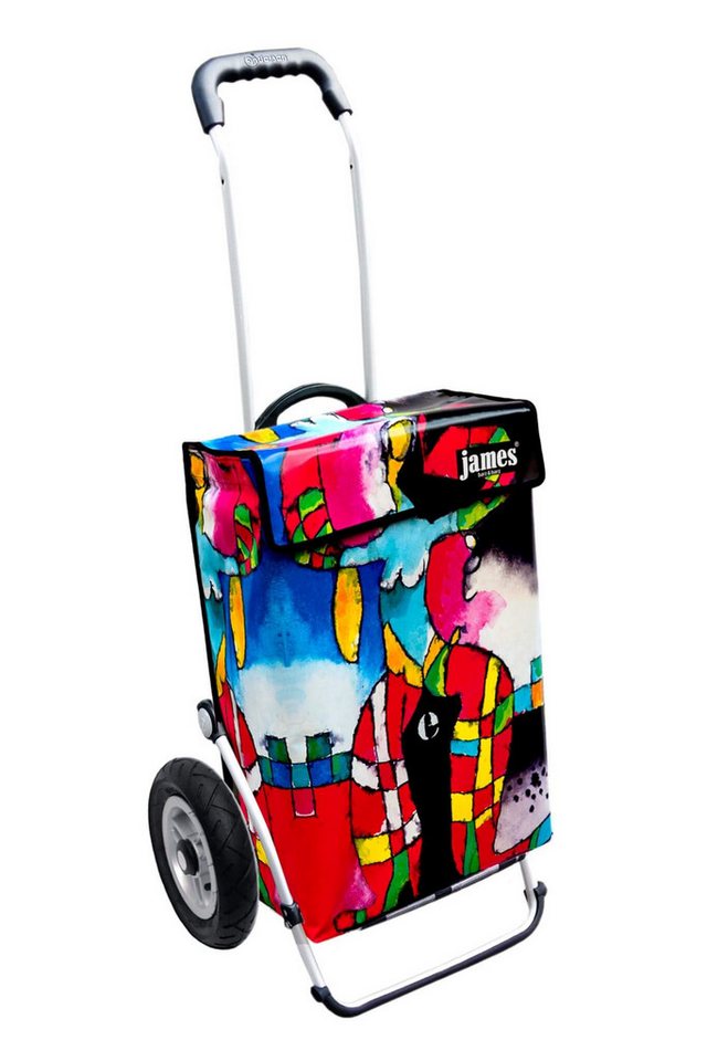 james Einkaufstrolley SUSY - stabiler Einkaufswagen mit individuellem Design, Handmade in Austria - Einkaufsbegleiter mit viel Stauraum - trägt 40kg von james