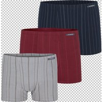 3er Pack Retropant LEONELL Jan Vanderstorm rot dunkelblau blau dunkelrot hellgrau grau 3er Pack Retropant LEONELL Jan Vanderstorm rot dunkelblau blau dunkelrot hellgrau grau von jan vanderstorm