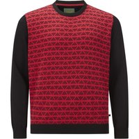Pullover EARL ALAN rot von Charles Colby