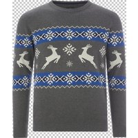 Pullover TORE grau von jan vanderstorm