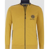 Sweatjacke ANDTARSEN Jan Vanderstorm dunkelgelb von jan vanderstorm