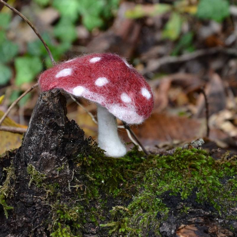Rote Pilz Wolle Brosche Gefilzte Anstecknadel Pilze Halloween Geschenkidee, Toadstool Schmuck Geschenk von jannio