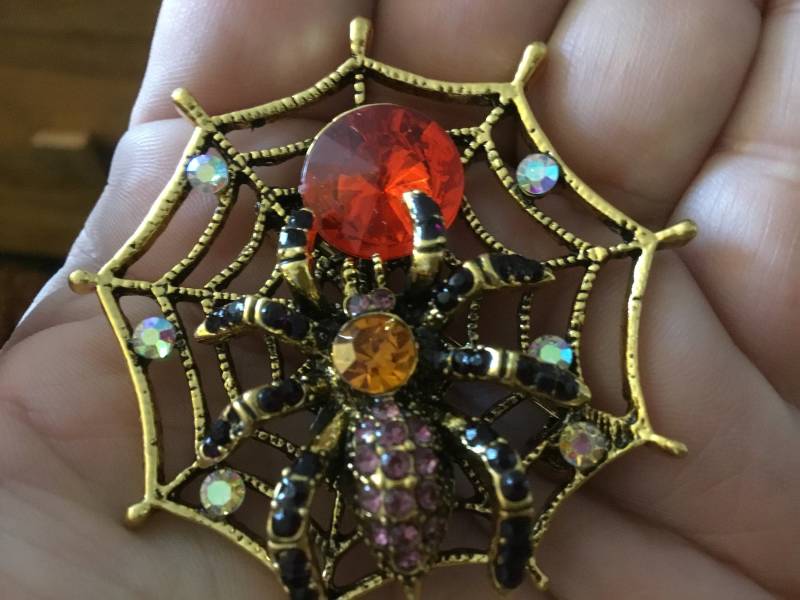 Spinne Auf Web Pin Brosche Und Anhänger Große von jaysdelights