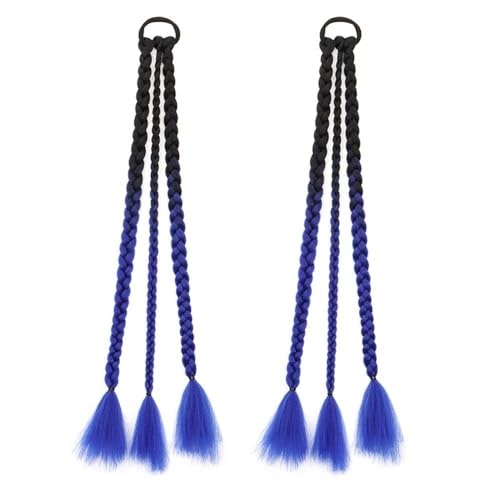 Ponytail Extension Colored Braids Hair Extensions with Rubber Bands Rainbow Braided Synthetic Hairpieces Ponytail for Women Girls Party Highlight 20 Inch 2pcs/Pack(B21#) von jianguohairsss