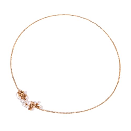 jojnsha Elegante Halskette mit Kunstperlen und Quasten, Fischgräten-Kette, Choker, Statement-Hochzeitsschmuck, Damen und Mädchen, Lariat-Y-Halskette, Einheitsgröße, Wie beschrieben, Wie beschrieben von jojnsha