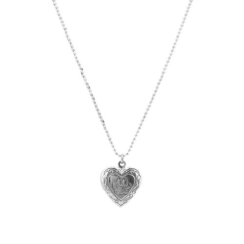 jojnsha Memory Halskette Herz Lockerbox Anhänger Halsheiler Leichtmetallmaterial Halsschmuck Perfekte Geschenk Für Frau Mädchen Silber Mädchen Frauen Kinder Vintage Vintage von jojnsha