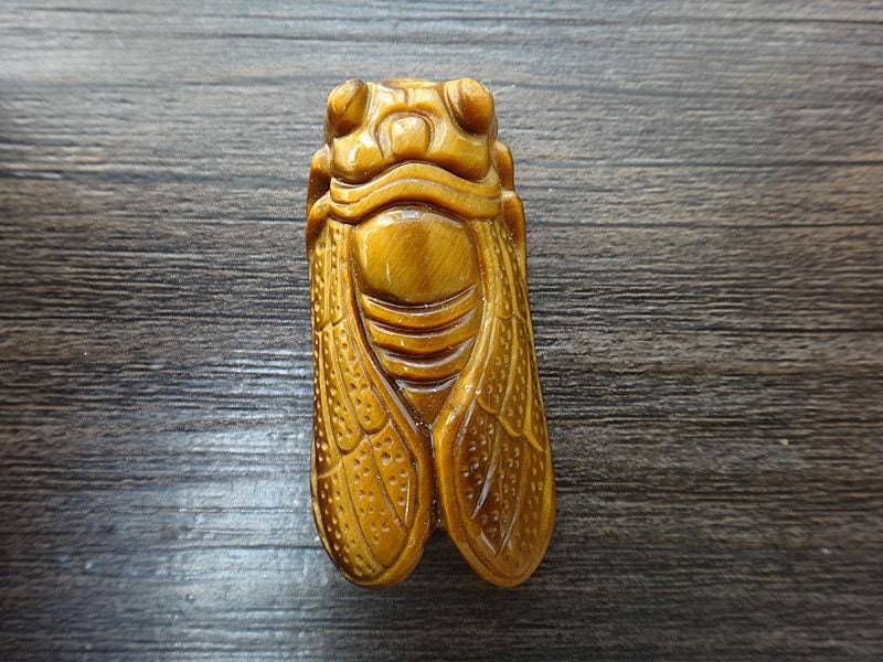 Natürlicher Tigerauge Stein Cicada Amulett Anhänger von juat
