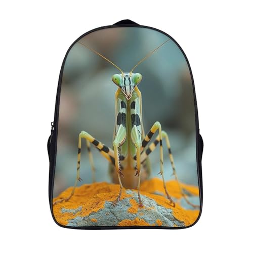 kaiyun Gottesanbeterin Rucksack Für Kinder,niedlich,Grosse Kapazitätleicht,Insekten Schulranzen,Teenager Leichtgewicht Büchertasche,16 inch kaiyun Gottesanbeterin Rucksack Für Kinder,niedlich,Grosse Kapazitätleicht,Insekten Schulranzen,Teenager Leichtgewicht Büchertasche,16 inch von kaiyun