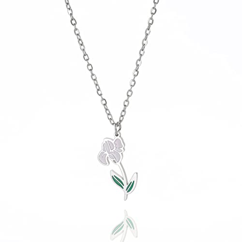 kkjoy Edelstahl Geburtsmonat Blume Halskette 12 Monate Geburtstag Blume Anhänger Halskette Beste Freund Halskette Schmuck für Frauen Mädchen von kkjoy