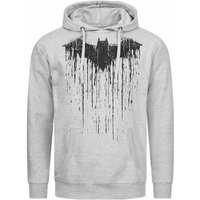 BATMAN DC COMICS Herren Hoodie GBMHS367SPO