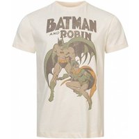 Batman DC COMICS Robin Vintage Herren T-Shirt FBMTS827NAT