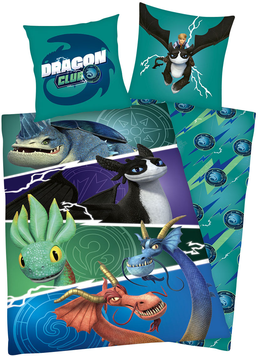 Bettwäsche "Dragons" 2 Stk. tlg. Wendebettwäsche